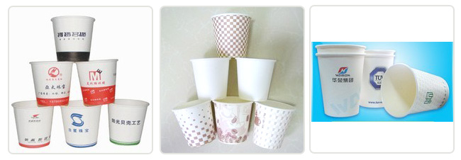 paper cup